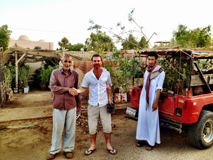Buying plants in Egypt